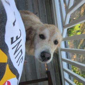 Meet your Posher, Scott